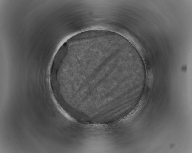 X0000097760862200803281632