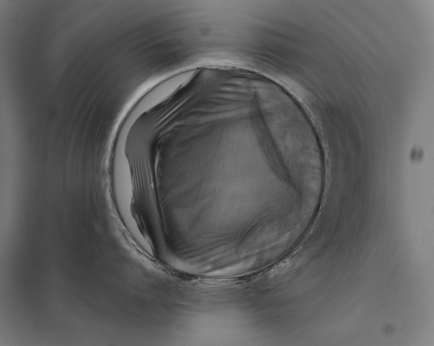 X0000097760864200803281632