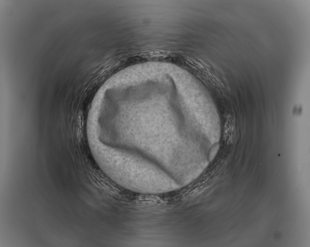 X0000097760866200803281631