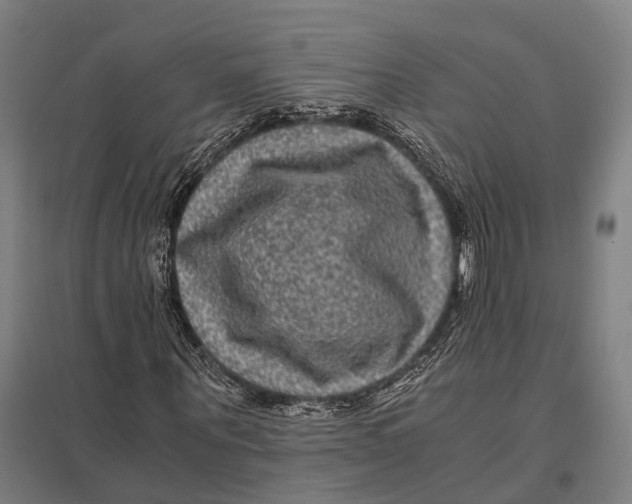 X0000097760867200803281631