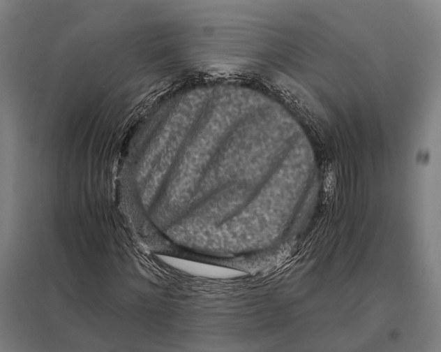 X0000097760868200803281631