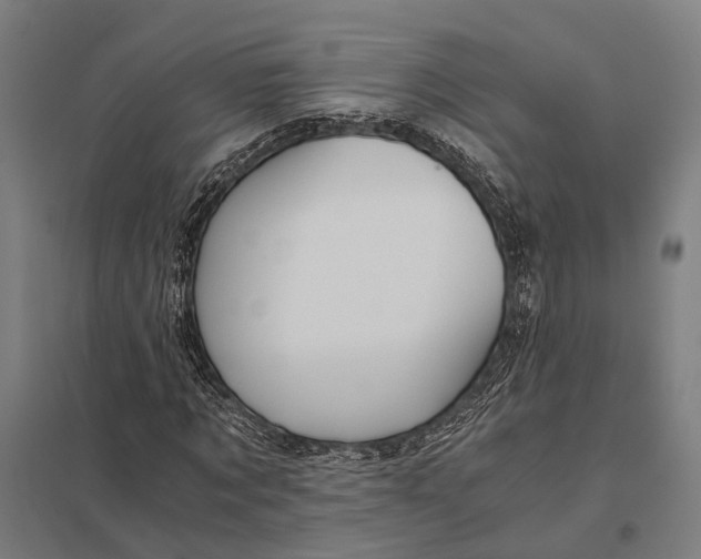 X0000097760869200803281631