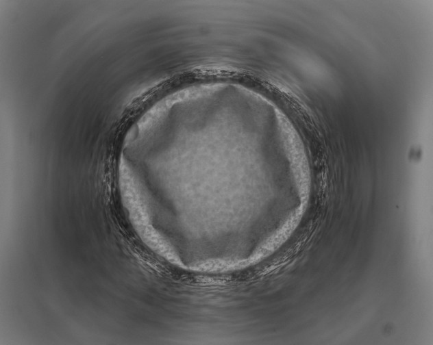 X0000097760870200803281631