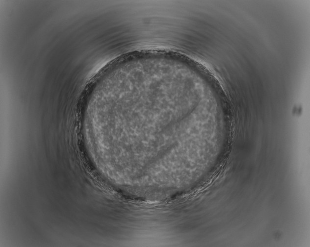 X0000097760871200803281631