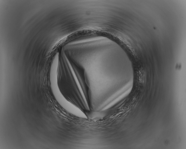 X0000097760872200803281631