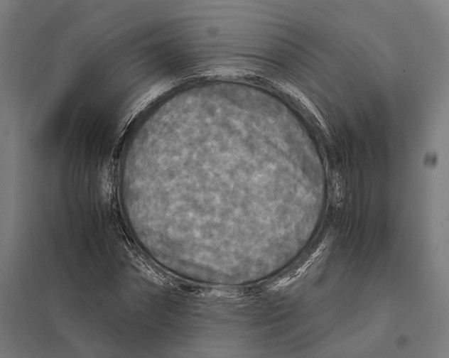 X0000097760874200803281631