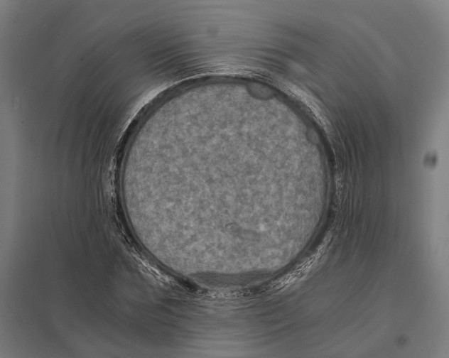 X0000097760875200803281631