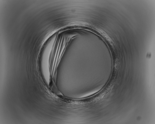 X0000097760877200803281631