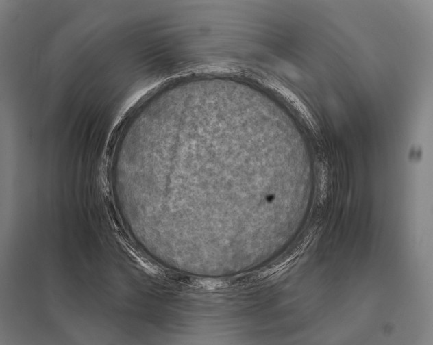 X0000097760878200803281631