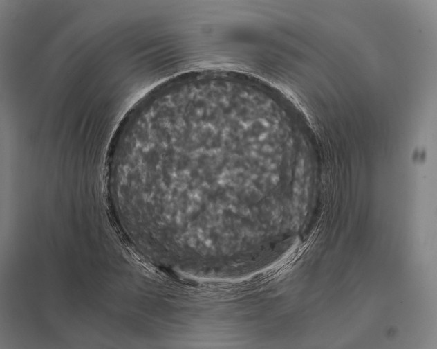 X0000097760879200803281631