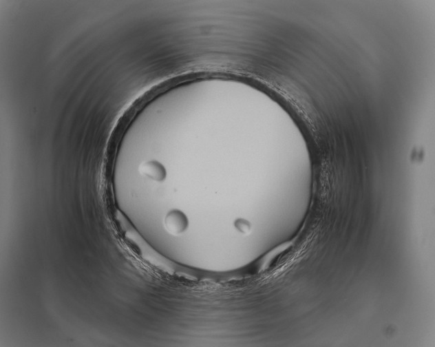 X0000097760880200803281631