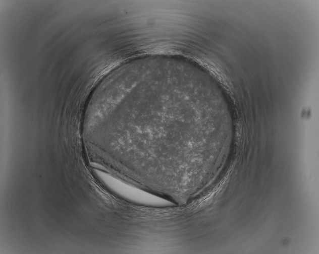 X0000097760881200803281631