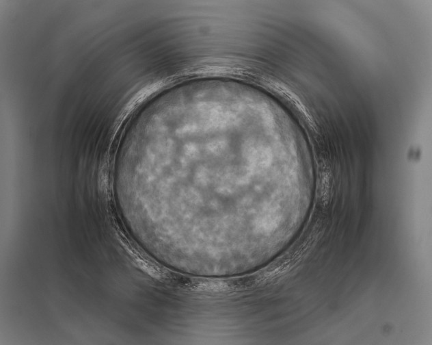 X0000097760882200803281631