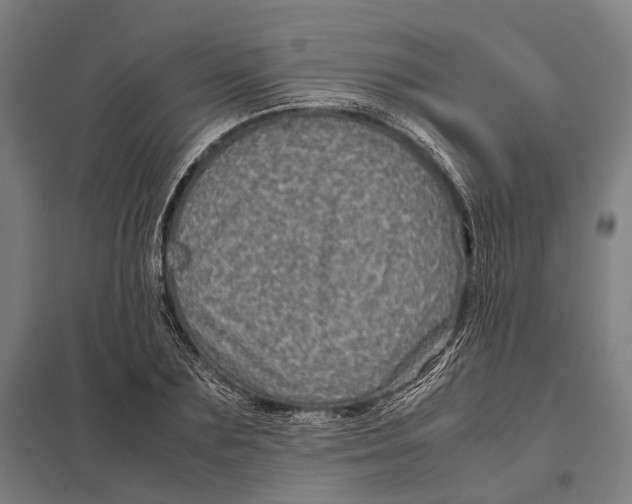 X0000097760883200803281631