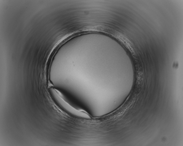 X0000097760884200803281631