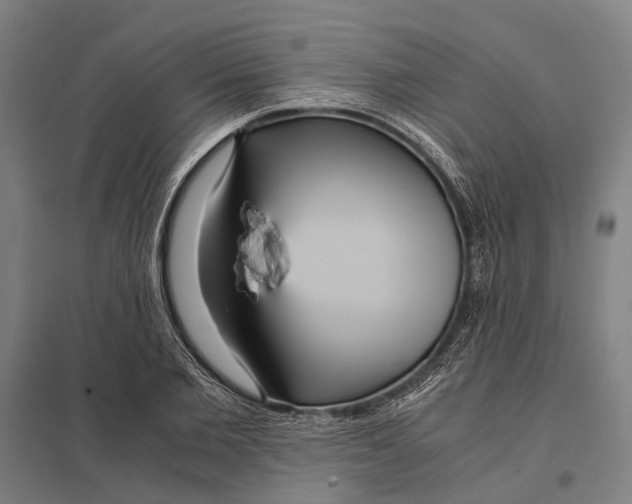 X0000097760885200803281631