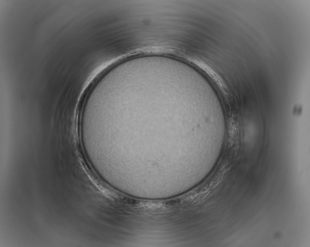 X0000097760886200803281631