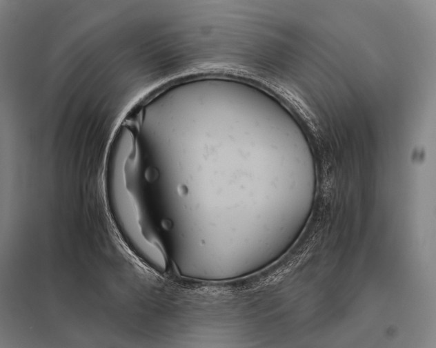 X0000097760888200803281631