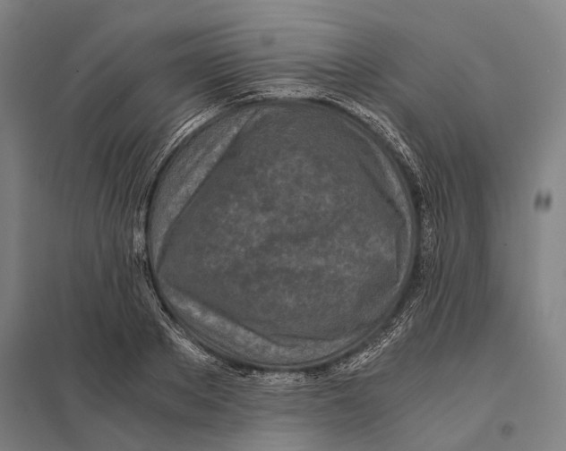 X0000097760889200803281631