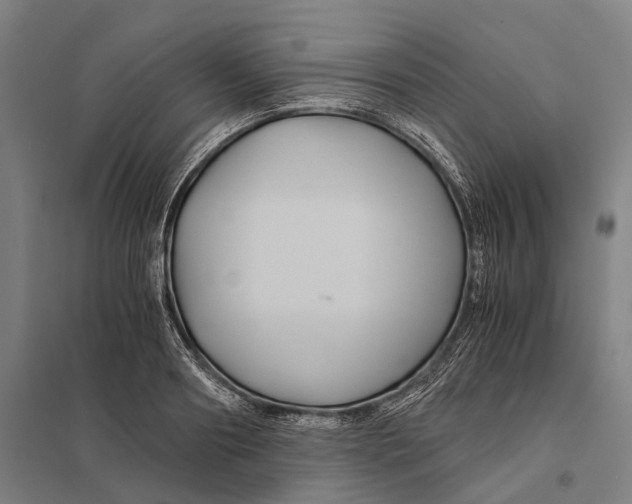 X0000097760890200803281631