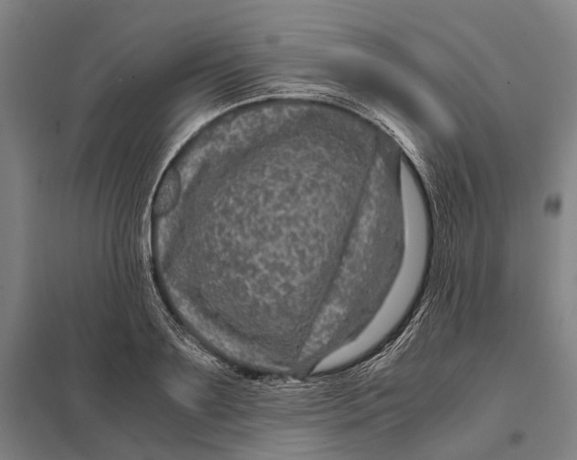 X0000097760891200803281631