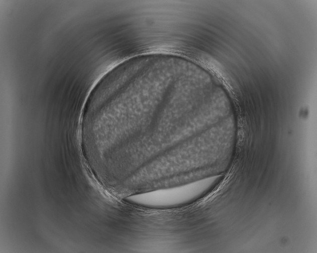 X0000097760892200803281631