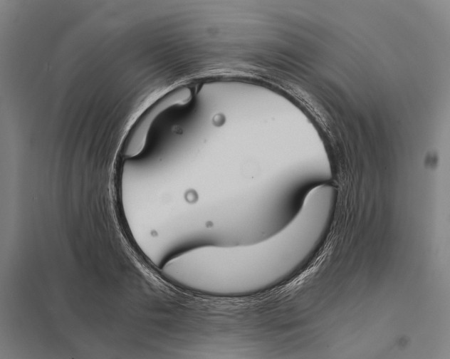 X0000097760893200803281631