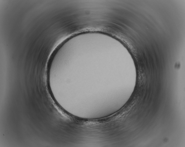 X0000097760894200803281631