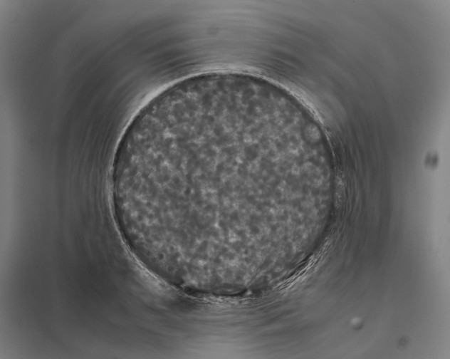 X0000097760895200803281631