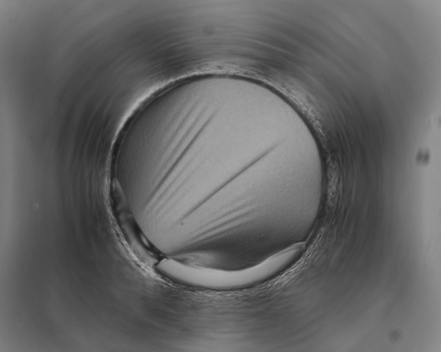 X0000097760896200803281631