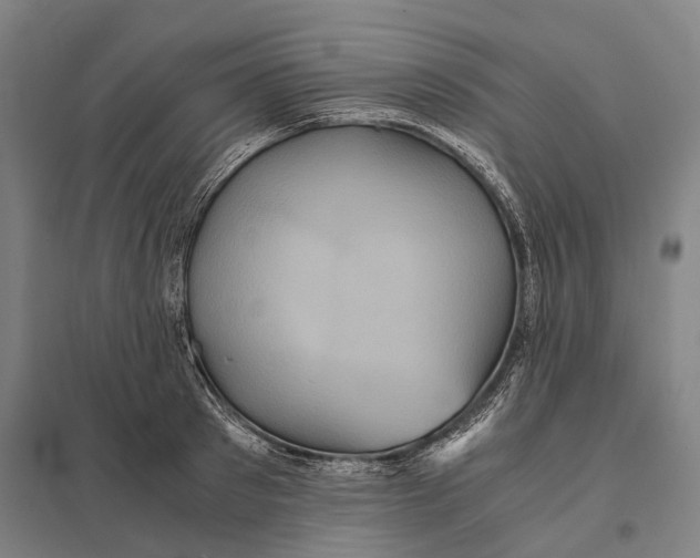 X0000097760897200803281631