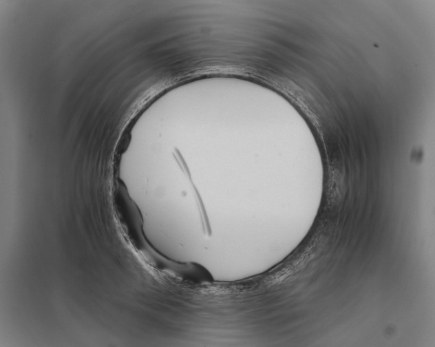 X0000097760898200803281631