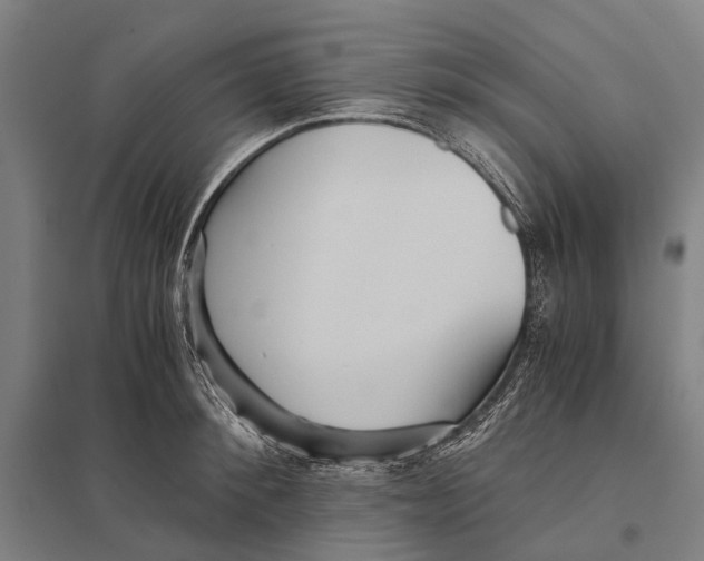 X0000097760900200803281631