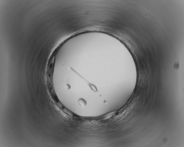 X0000097760902200803281631