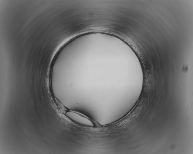 X0000097760904200803281631