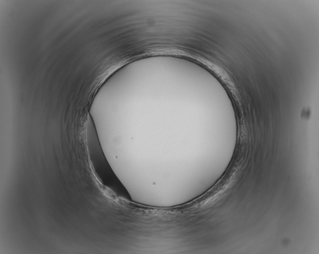 X0000097760905200803281631