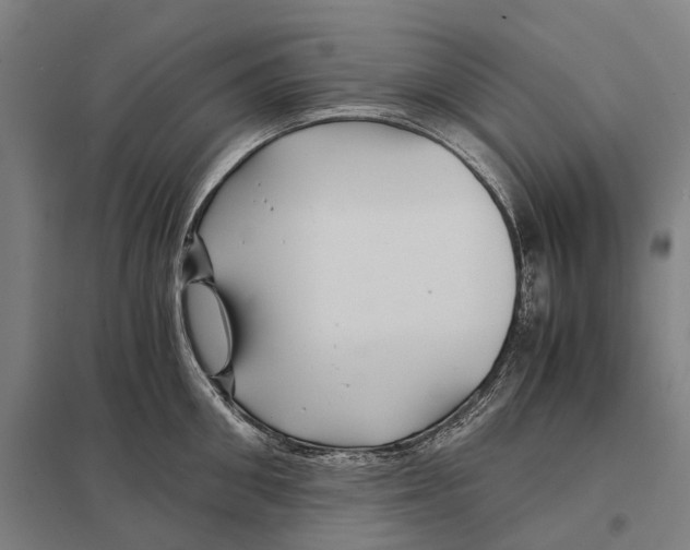 X0000097760906200803281631