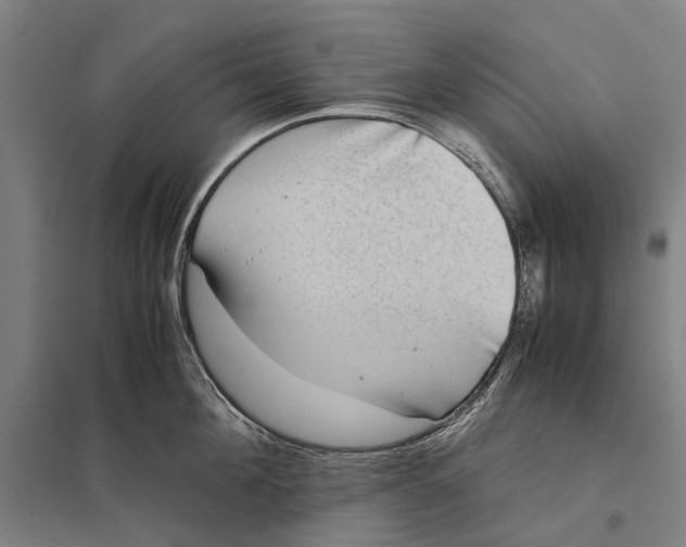 X0000097760908200803281631