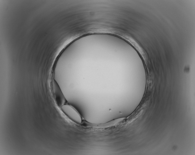 X0000097760909200803281630