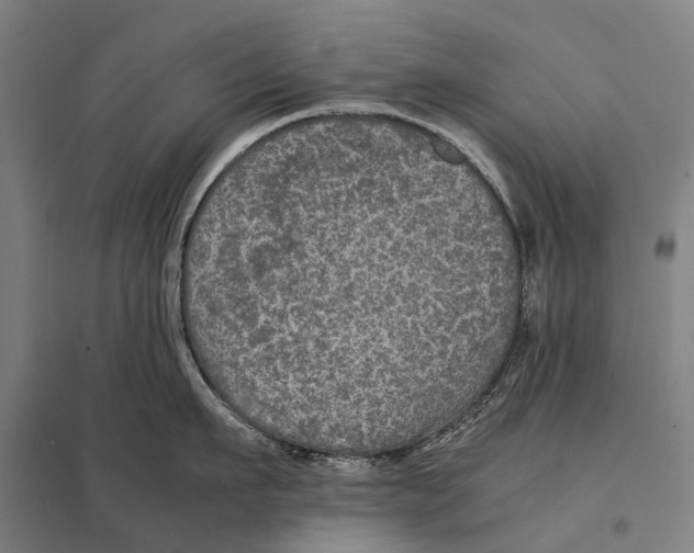 X0000097760911200803281630