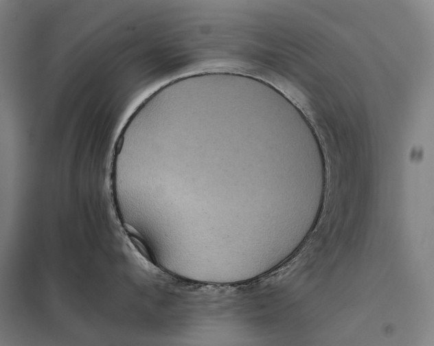 X0000097760912200803281630