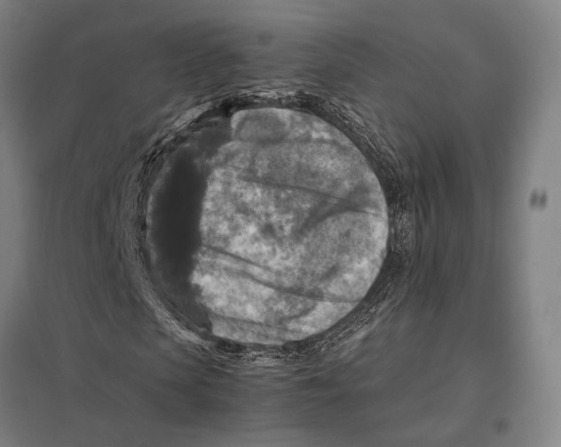 X0000097760913200803281630