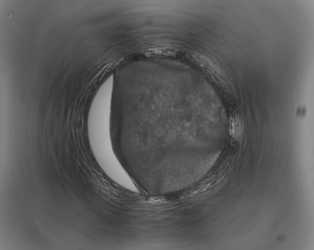 X0000097760915200803281630