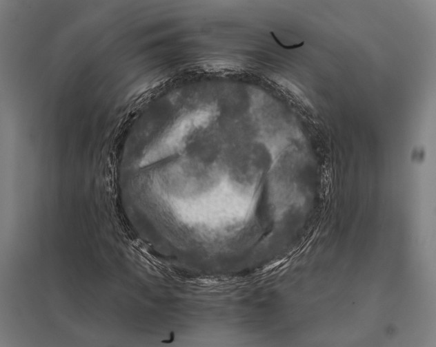 X0000097760917200803281630