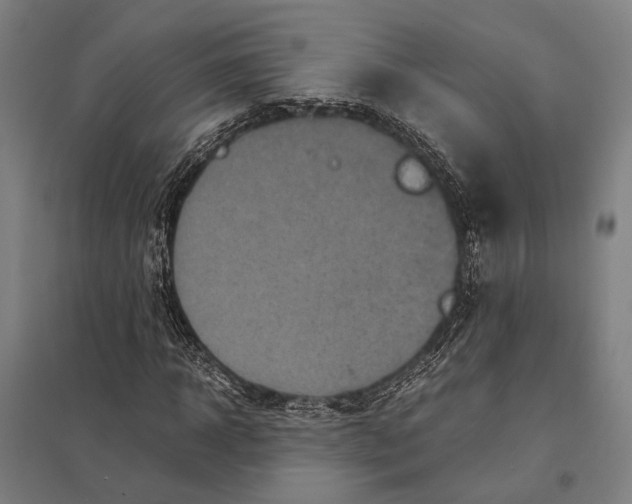 X0000097760918200803281630