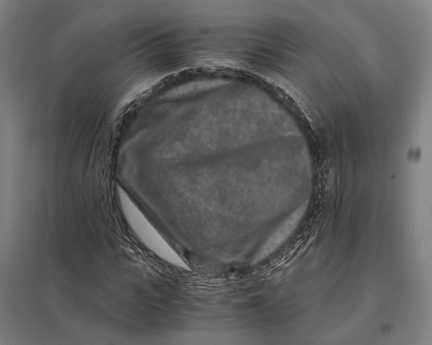 X0000097760919200803281630