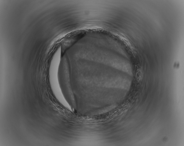 X0000097760920200803281630