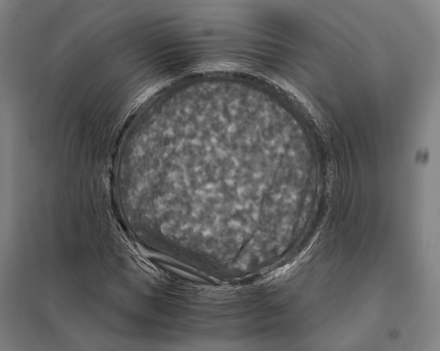 X0000097760921200803281630