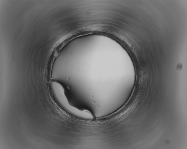 X0000097760922200803281630