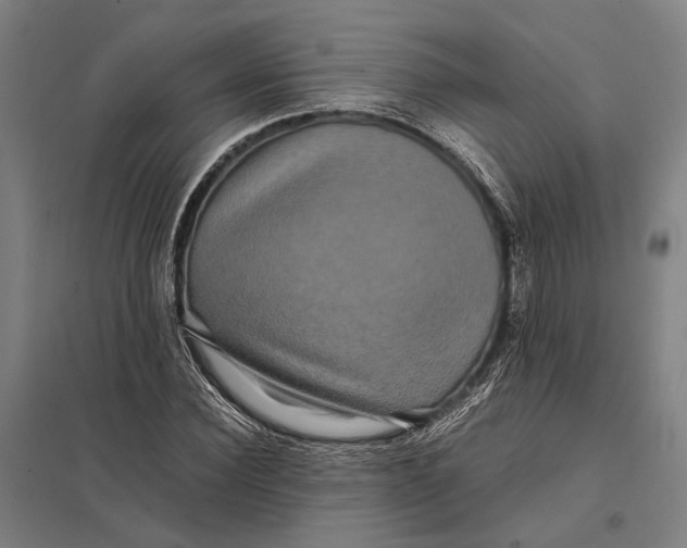 X0000097760924200803281630